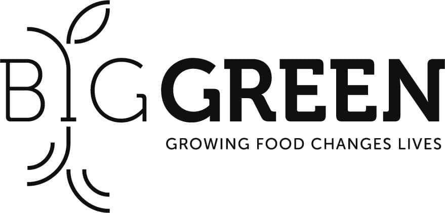 Big Green logo